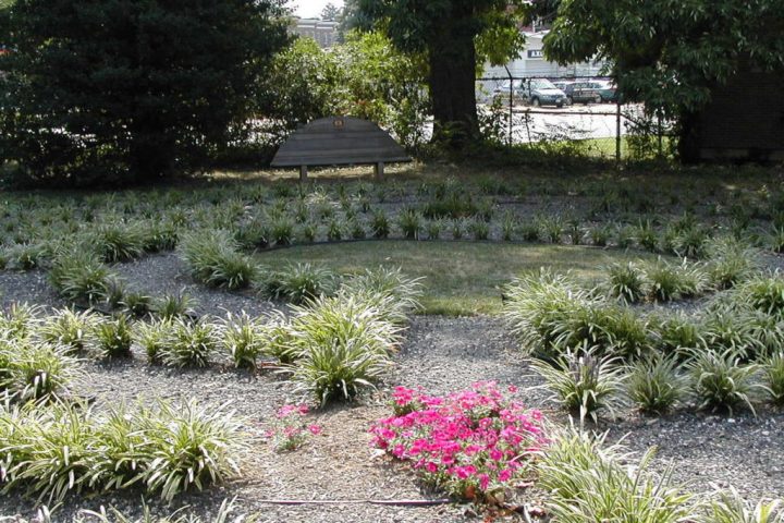 Ellen Morriss Memorial Santa Rosa Labyrinth