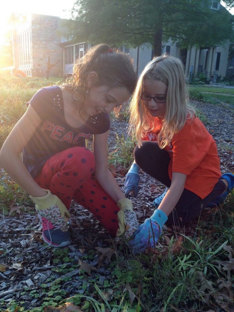 Weeding the Labyrinth