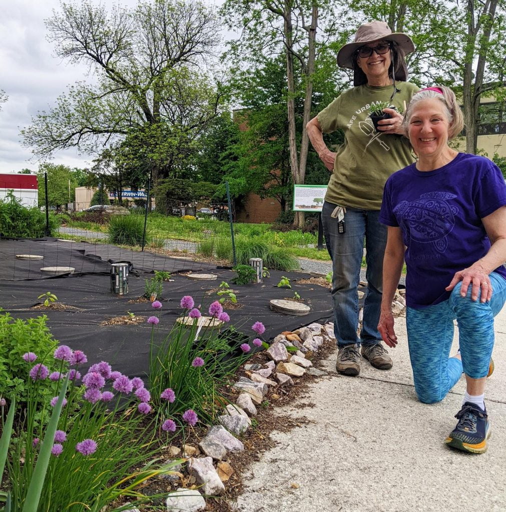 Community garden